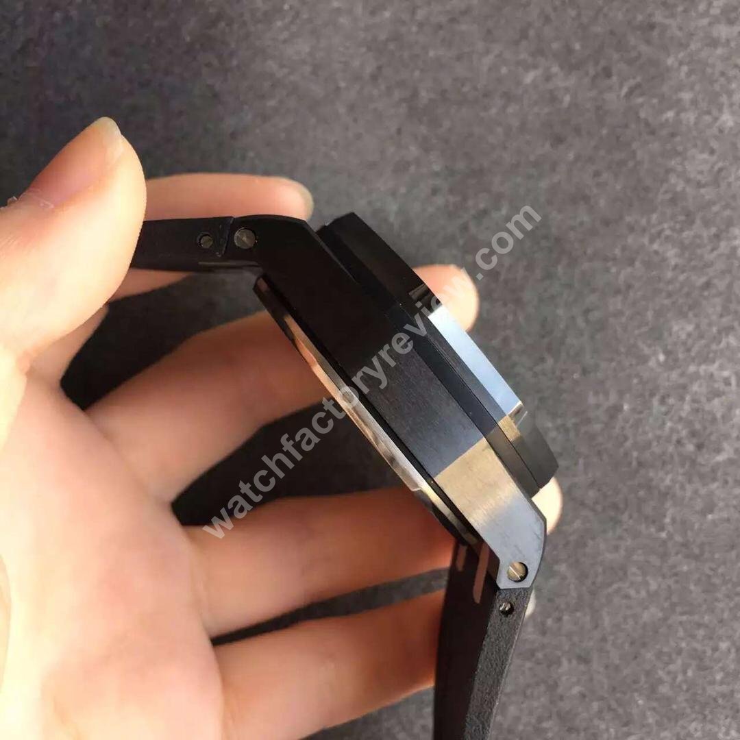 Audemars Piguet Left Case