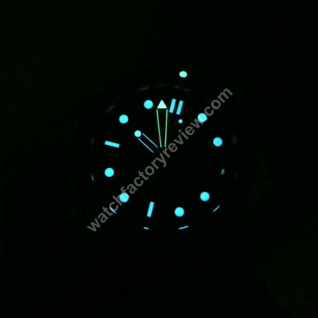 Omega Seamaster Pro 300M Dial Lume