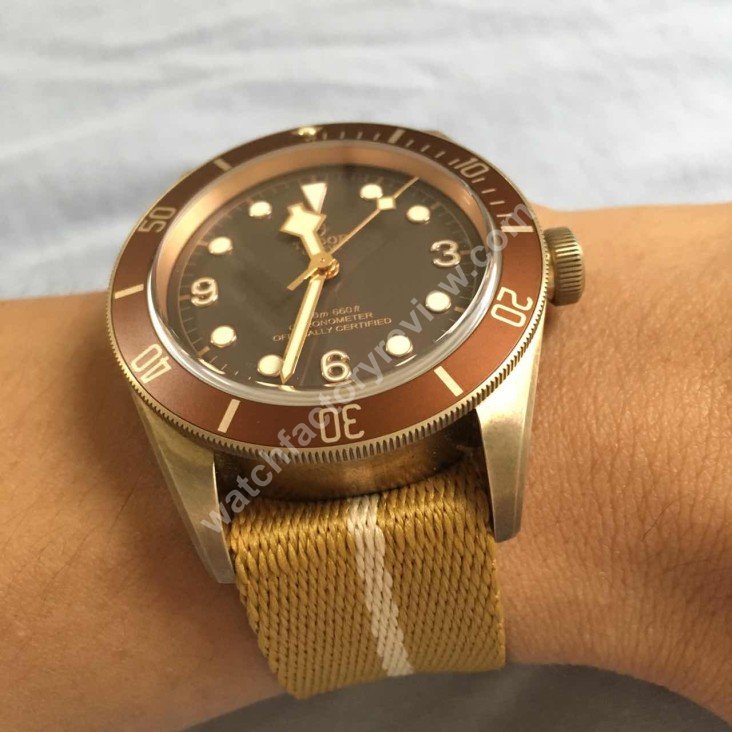 Tudor Bronze Wrist Shot