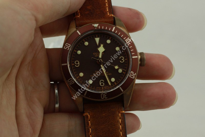 Tudor Brown Dial